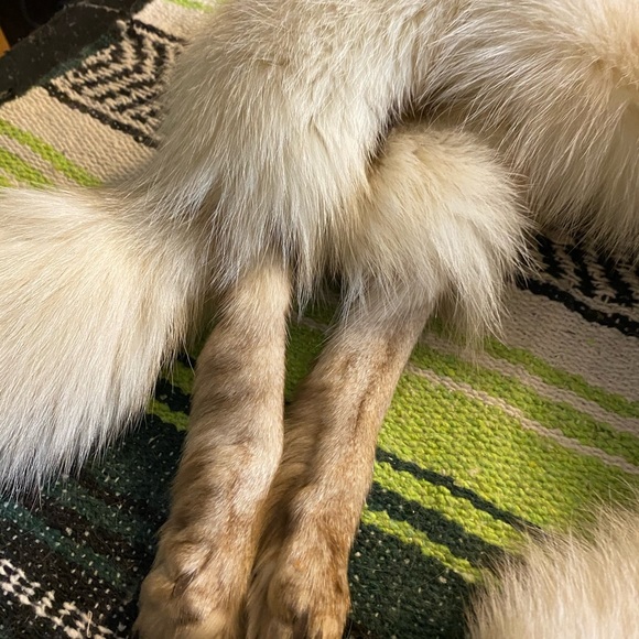 Vintage Fox Stole - Picture 3 of 5